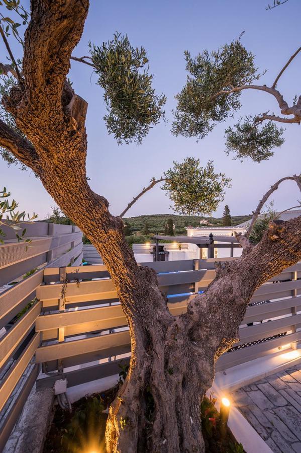 B&M Villas Metochi Siriliou Exterior foto